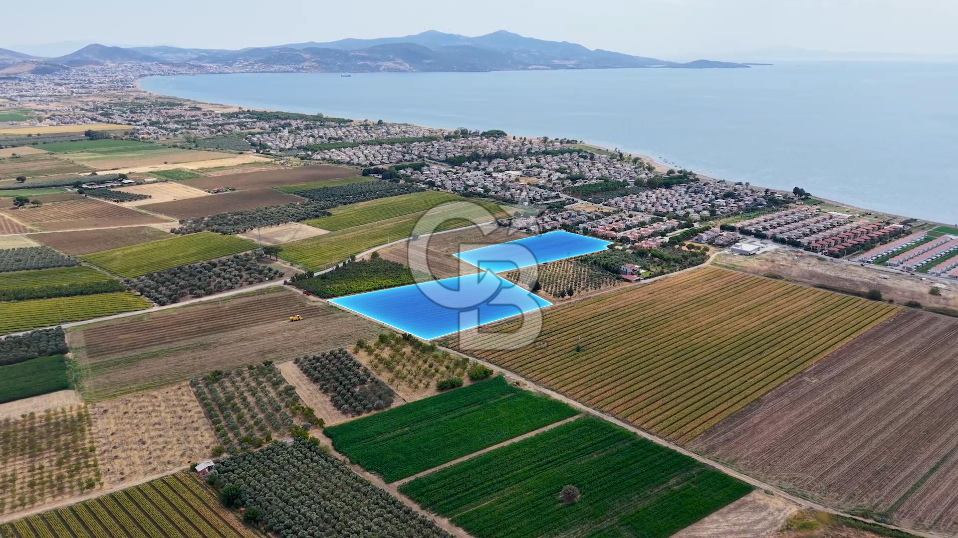 Dikili Kabakum'da İmar Sınırında Satılık Tarla 