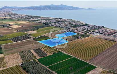 Dikili Kabakum'da İmar Sınırında Satılık Tarla 