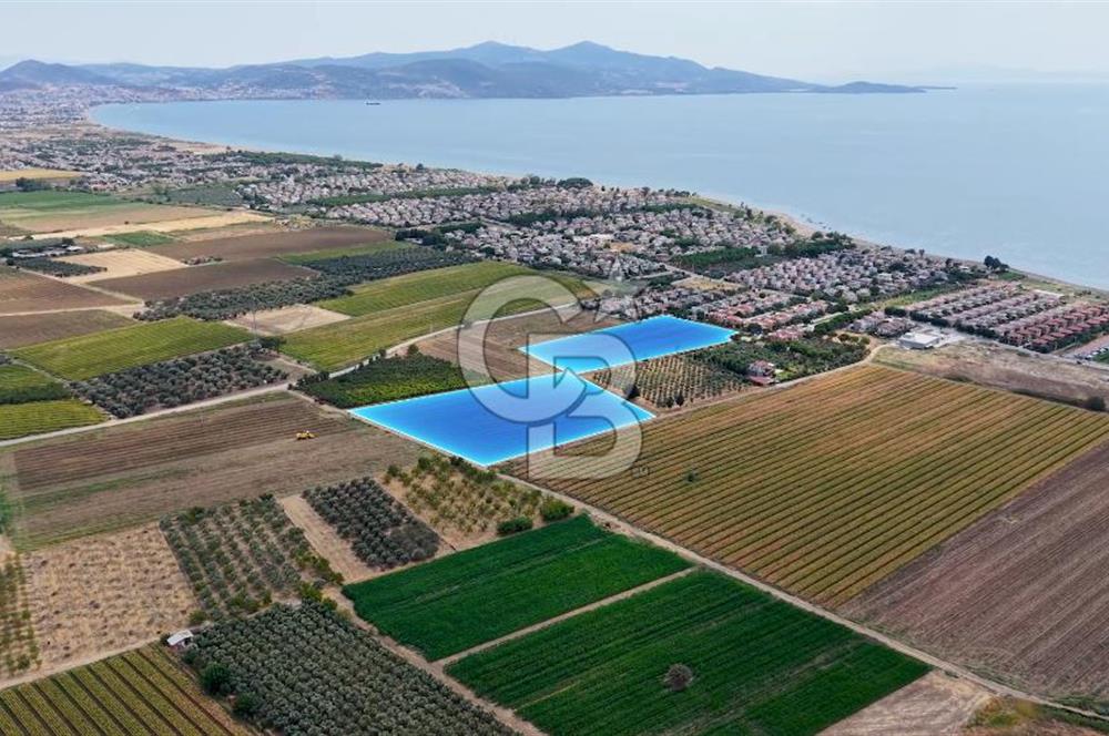 Dikili Kabakum'da İmar Sınırında Satılık Tarla 