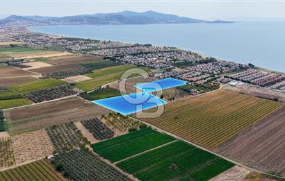 Dikili Kabakum'da İmar Sınırında Satılık Tarla 