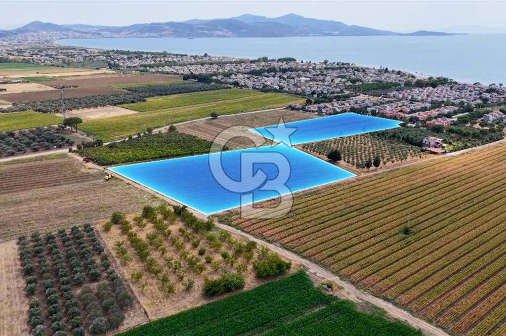 Dikili Kabakum'da İmar Sınırında Satılık Tarla 
