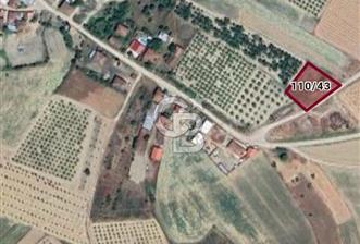 BİLECİK OSMANELİ de Yatırımlık Ana Yola Cephe Tarla