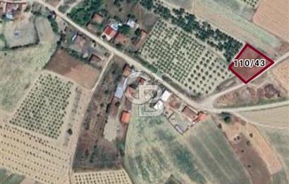 BİLECİK OSMANELİ de Yatırımlık Ana Yola Cephe Tarla
