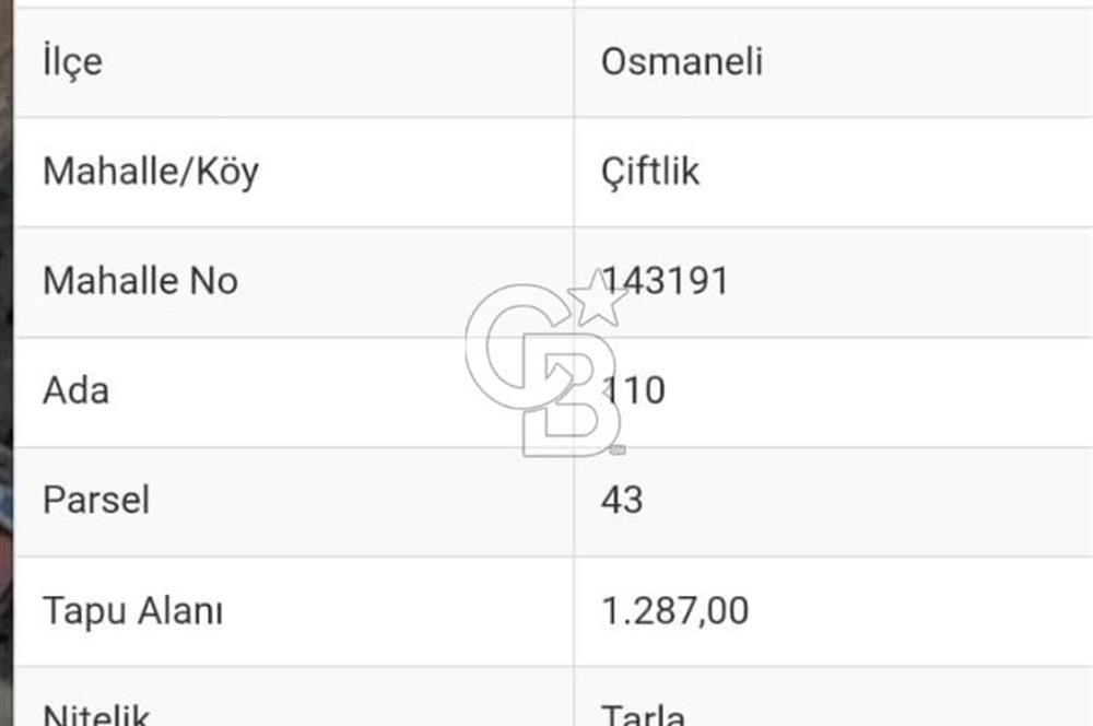 BİLECİK OSMANELİ de Yatırımlık Ana Yola Cephe Tarla