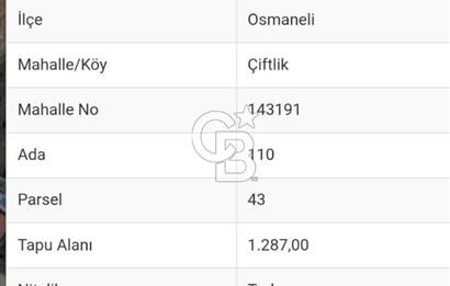 BİLECİK OSMANELİ de Yatırımlık Ana Yola Cephe Tarla