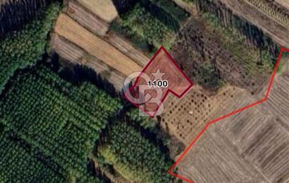 CB CITY' DEN EDİRNE HAVSA YOLAGELDİ KÖYÜNDE SATILIK TARLA