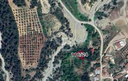 SATILIK 280 m² BAHÇE BİLECİK OSMANELİ ÇİFTLİK KÖY KÖYİÇİ MEVKİ