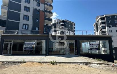 Hasköy’de Cadde Cepheli 410 m² Kurumsala Kiralık Dükkan”