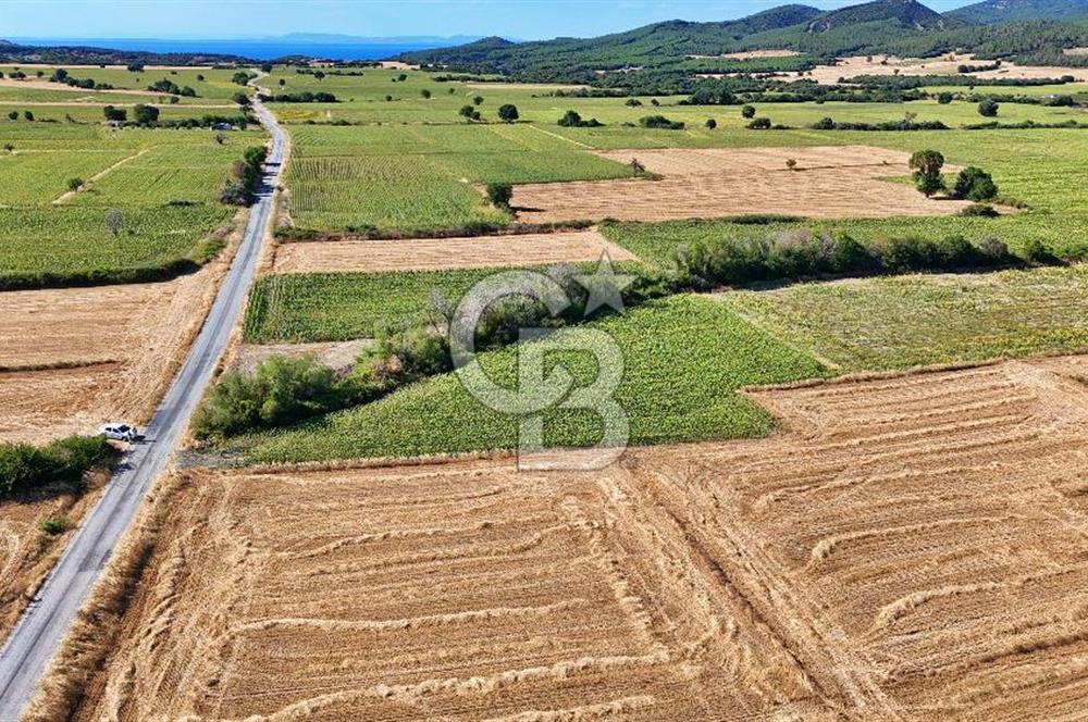 Eceabat Beşyolda Satılık 2.324 m² Tarla Sit Alanı Dışında