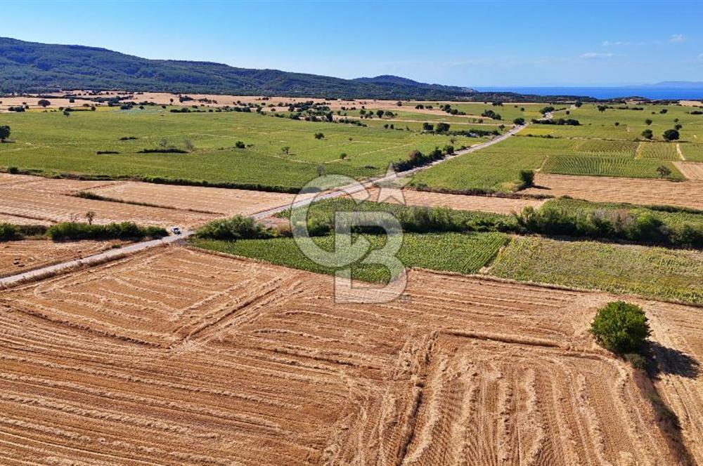 Eceabat Beşyolda Satılık 2.324 m² Tarla Sit Alanı Dışında