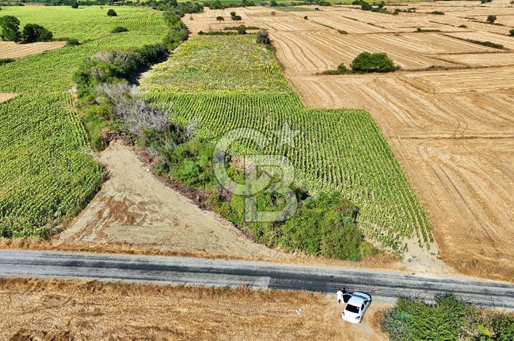 Eceabat Beşyolda Satılık 2.324 m² Tarla Sit Alanı Dışında