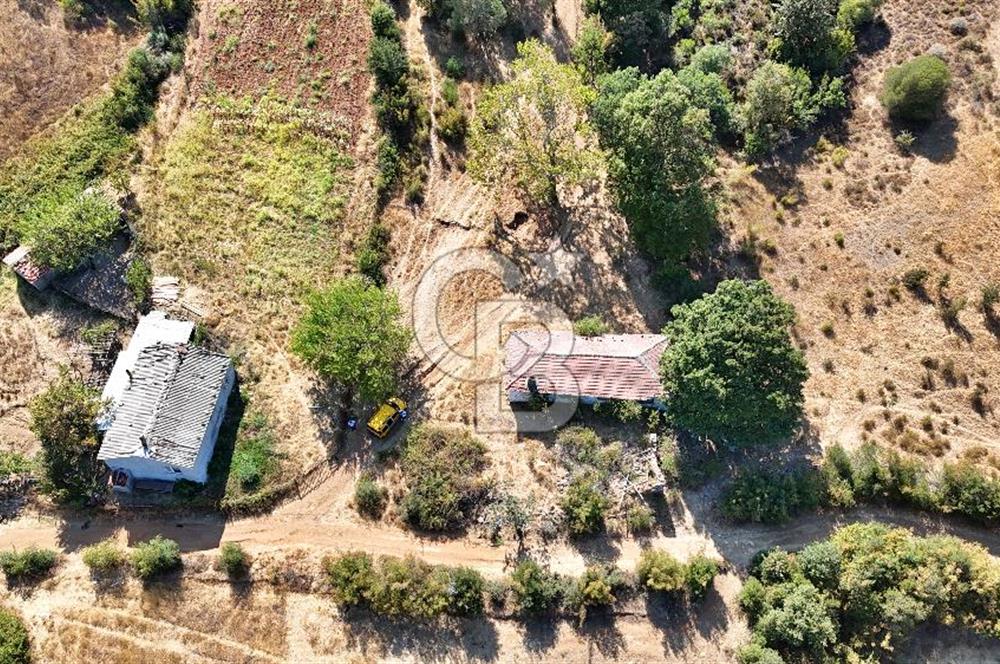 Denize 4 km, Elektrik-Su Hazır, Köy Yaşamına Uygun Geniş Arsa!