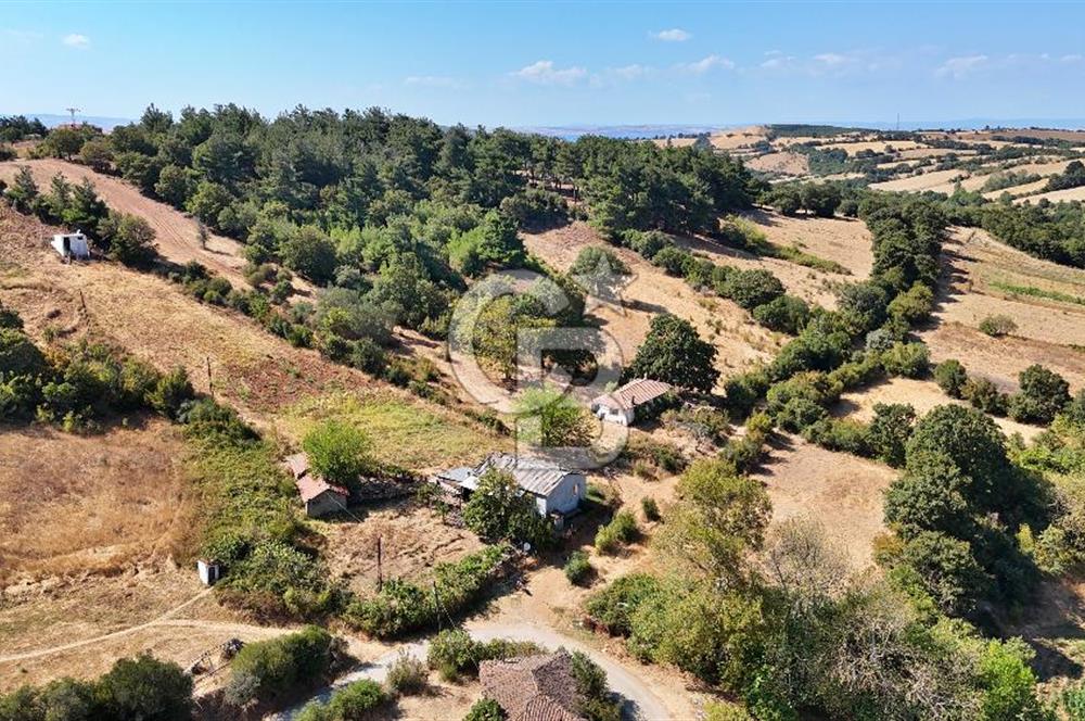 Denize 4 km, Elektrik-Su Hazır, Köy Yaşamına Uygun Geniş Arsa!