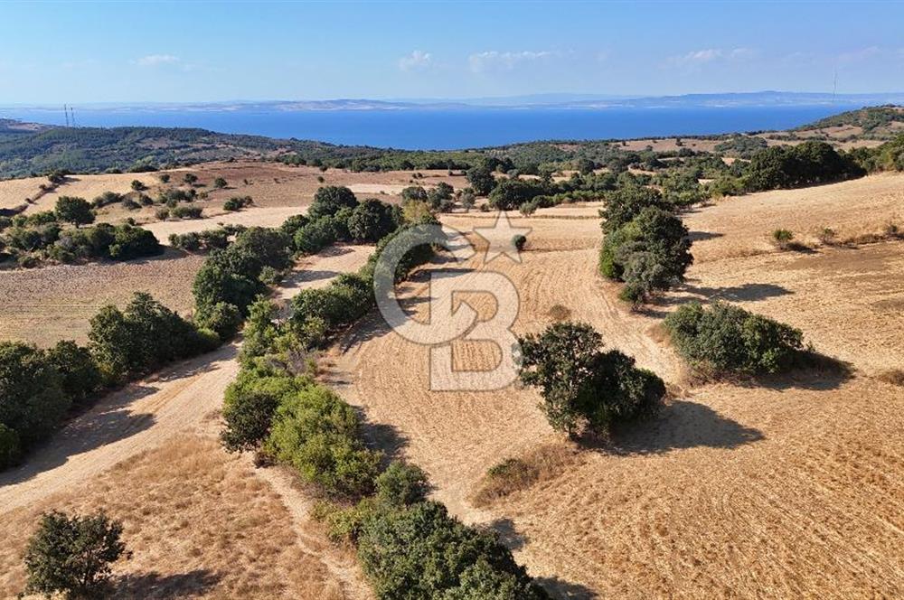Denize 1.8 km, Köye 1 km! Güreci Köyünde Satılık 2.712 m² Tarla