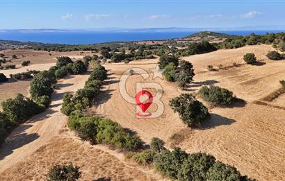 Denize 1.8 km, Köye 1 km! Güreci Köyünde Satılık 2.712 m² Tarla