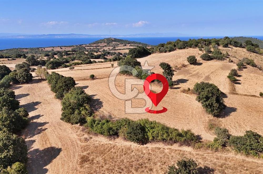 Denize 1.8 km, Köye 1 km! Güreci Köyünde Satılık 2.712 m² Tarla