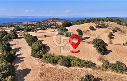 Denize 1.8 km, Köye 1 km! Güreci Köyünde Satılık 2.712 m² Tarla