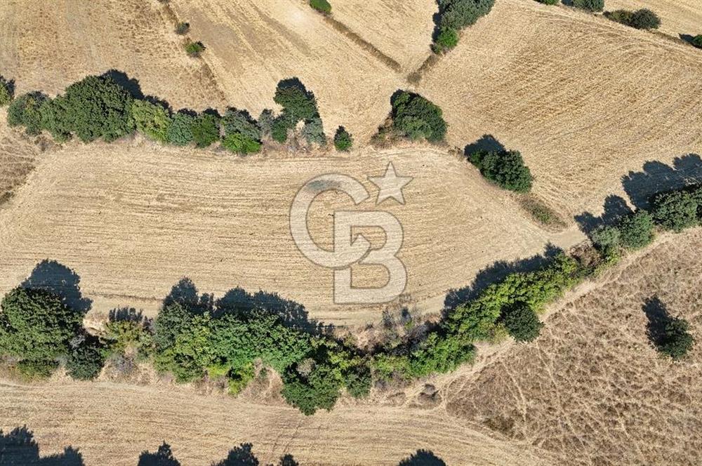 Denize 1.8 km, Köye 1 km! Güreci Köyünde Satılık 2.712 m² Tarla