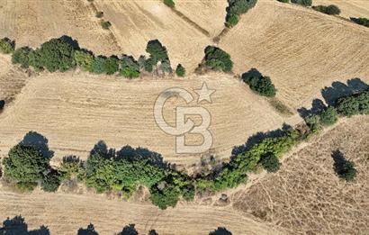 Denize 1.8 km, Köye 1 km! Güreci Köyünde Satılık 2.712 m² Tarla