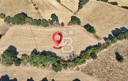 Denize 1.8 km, Köye 1 km! Güreci Köyünde Satılık 2.712 m² Tarla