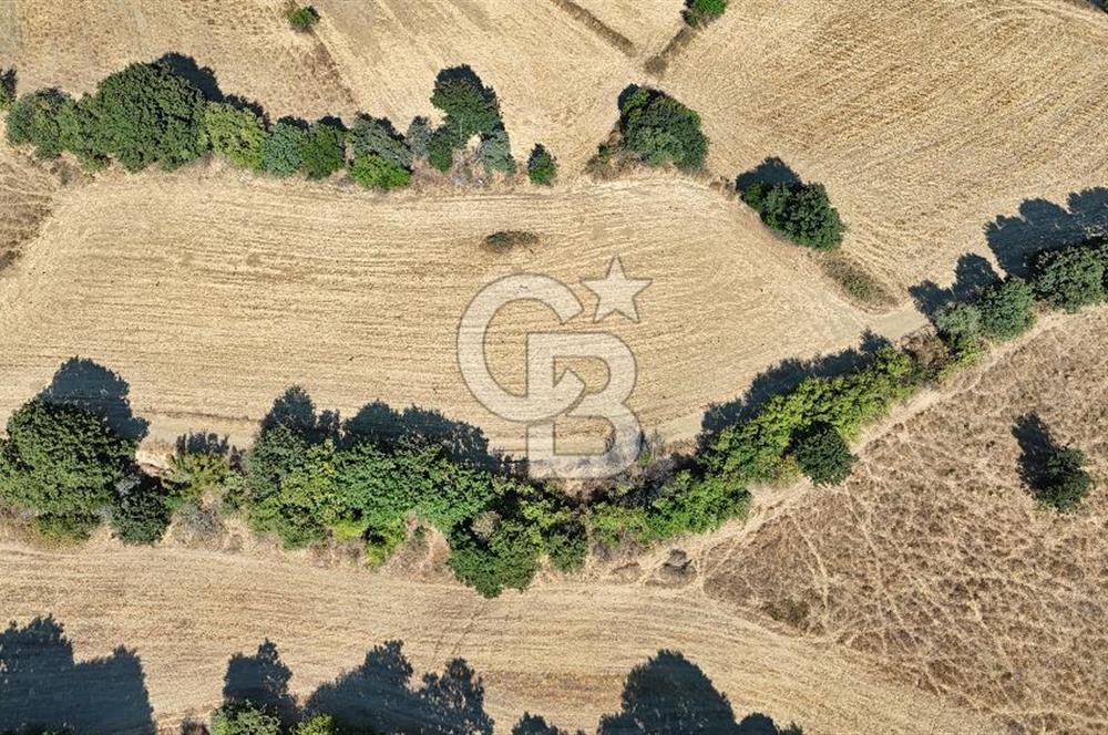 Denize 1.8 km, Köye 1 km! Güreci Köyünde Satılık 2.712 m² Tarla
