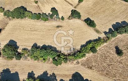 Denize 1.8 km, Köye 1 km! Güreci Köyünde Satılık 2.712 m² Tarla