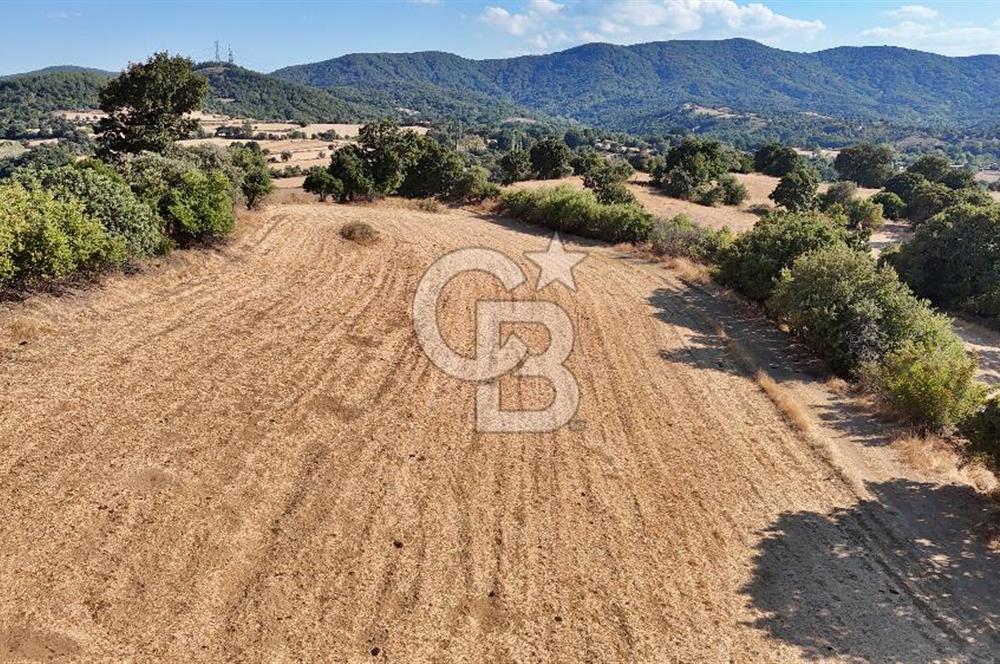 Denize 1.8 km, Köye 1 km! Güreci Köyünde Satılık 2.712 m² Tarla