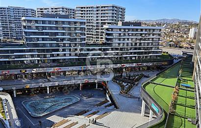 MKC DİRİLİŞ