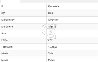 Biga Akkayrakta Resmi Yola Cepheli, Doğa İçinde Yatırımlık