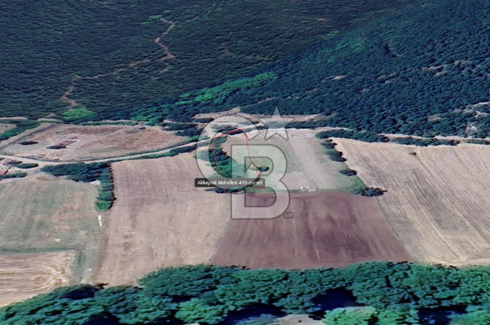 Biga Akkayrakta Resmi Yola Cepheli, Doğa İçinde Yatırımlık