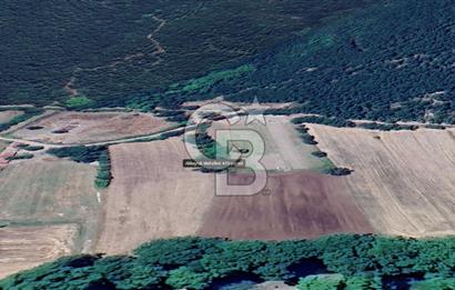 Biga Akkayrakta Resmi Yola Cepheli, Doğa İçinde Yatırımlık
