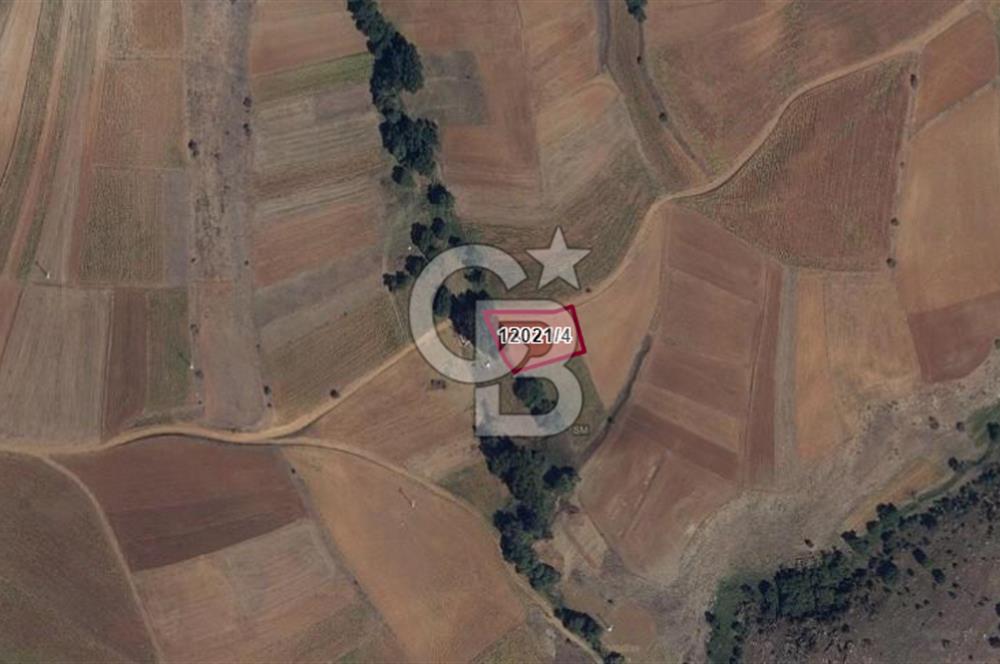 CB CITY'DEN ULUDERE MAHALLESİNDE YOLA CEPHELİ TARLA