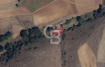 CB CITY'DEN ULUDERE DE SATILIK SULAK ARAZİ