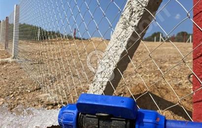 525 M2 ELEKTRİK VE SUYU BULUNAN YATIRIMLIK FIRSAT ZEYTİNLİK