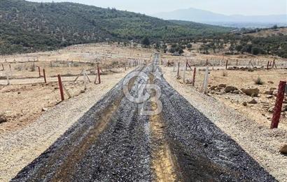 525 M2 ELEKTRİK VE SUYU BULUNAN YATIRIMLIK FIRSAT ZEYTİNLİK