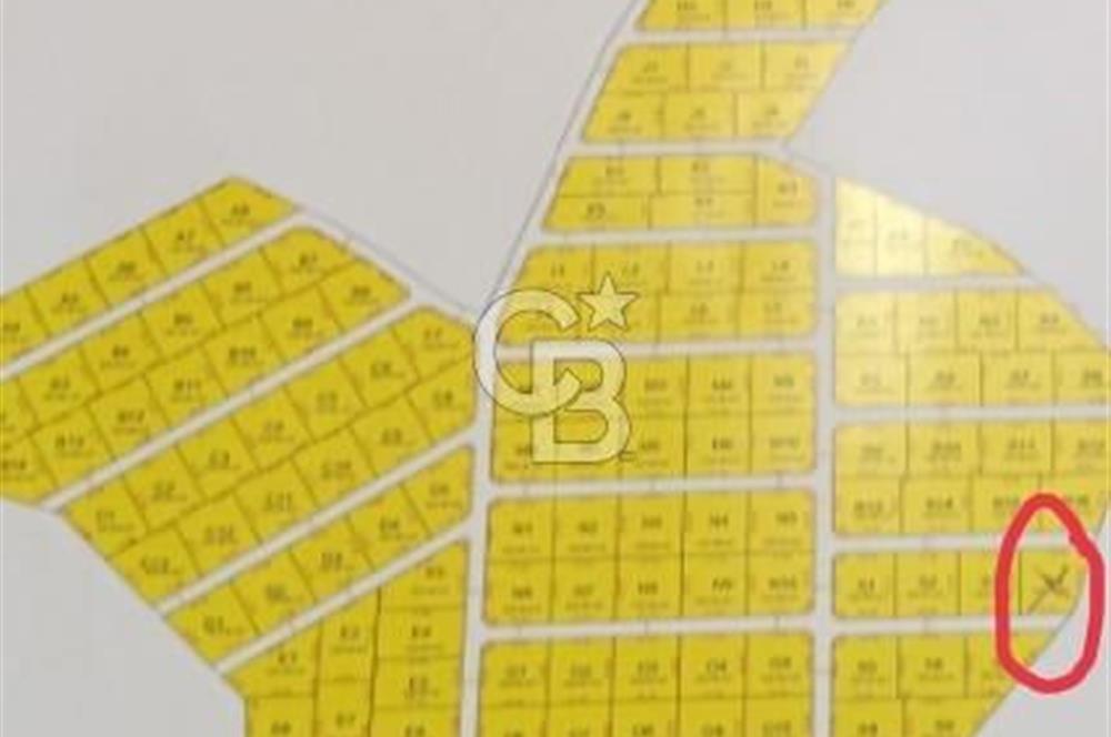 525 M2 ELEKTRİK VE SUYU BULUNAN YATIRIMLIK FIRSAT ZEYTİNLİK