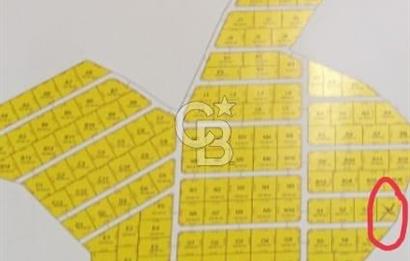 525 M2 ELEKTRİK VE SUYU BULUNAN YATIRIMLIK FIRSAT ZEYTİNLİK