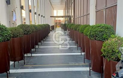 İstanbul'un Merkezinde Kiralık 1+1 Eşyalı Rezidans Daire