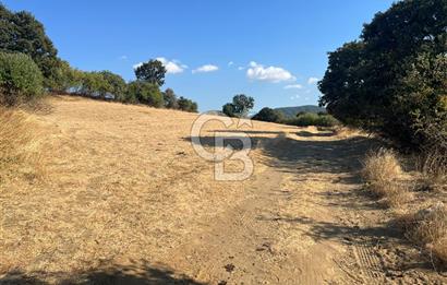 Denize 1.8 km, Köye 1 km! Güreci Köyünde Satılık 2.712 m² Tarla