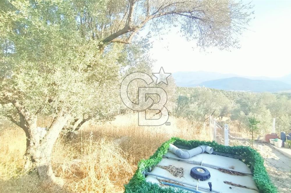  İzmir Bornova Yakaköy Satılık 2+1 Verandalı Ev ve Tarla 