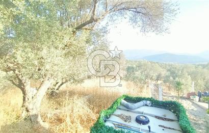  İzmir Bornova Yakaköy Satılık 2+1 Verandalı Ev ve Tarla 