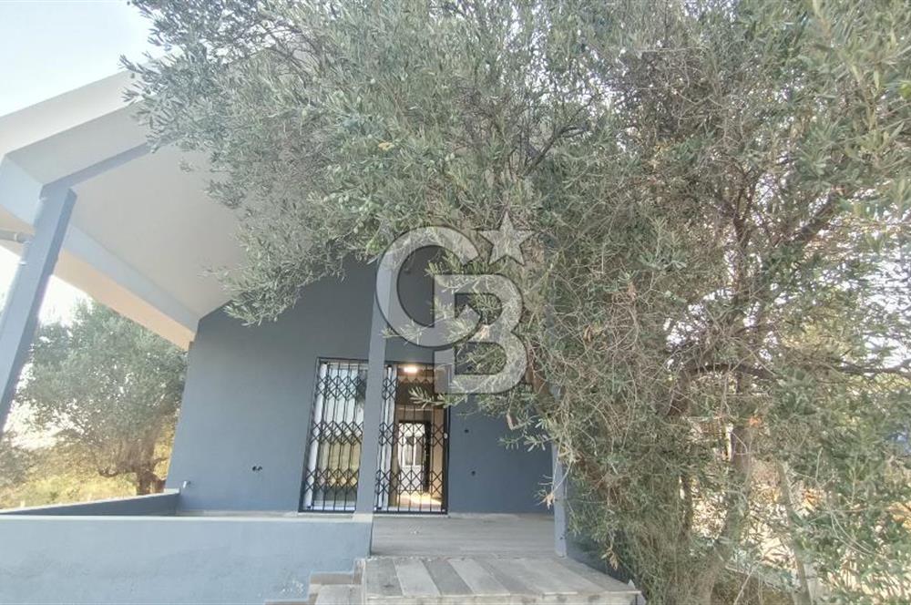  İzmir Bornova Yakaköy Satılık 2+1 Verandalı Ev ve Tarla 