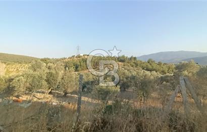  İzmir Bornova Yakaköy Satılık 2+1 Verandalı Ev ve Tarla 