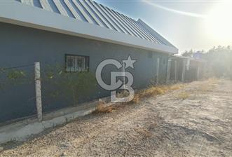 İzmir Bornova Yakaköy Satılık 2+1 Verandalı ev ve Tarla 