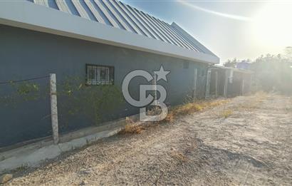 İzmir Bornova Yakaköy Satılık 2+1 Verandalı ev ve Tarla 