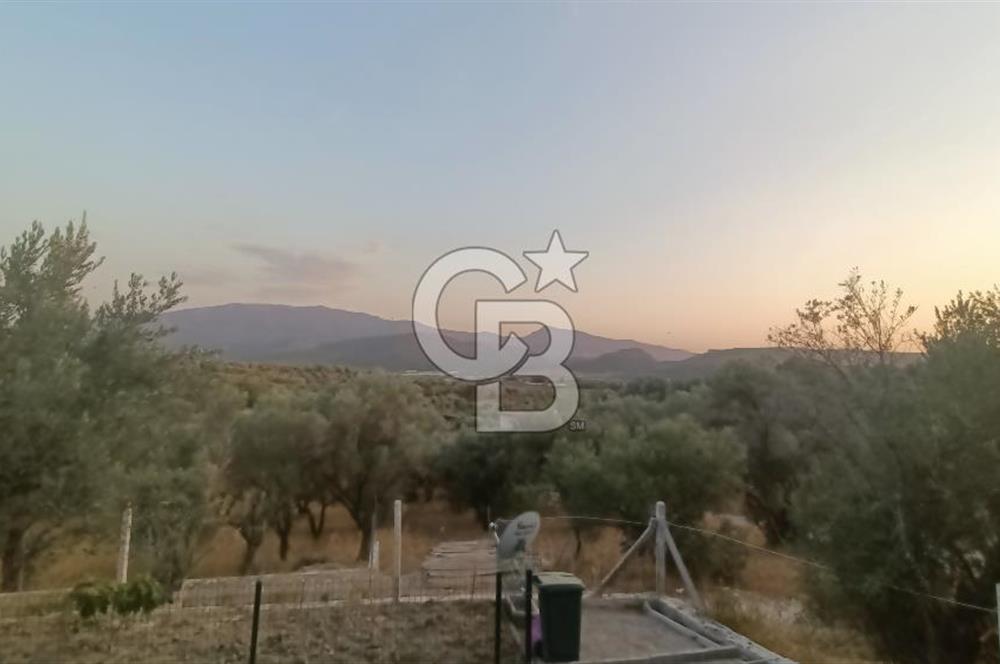 İzmir Bornova Yakaköy Satılık 2+1 Verandalı ev ve Tarla 