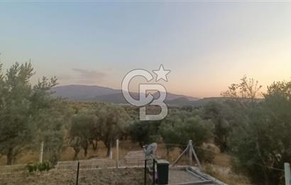 İzmir Bornova Yakaköy Satılık 2+1 Verandalı ev ve Tarla 
