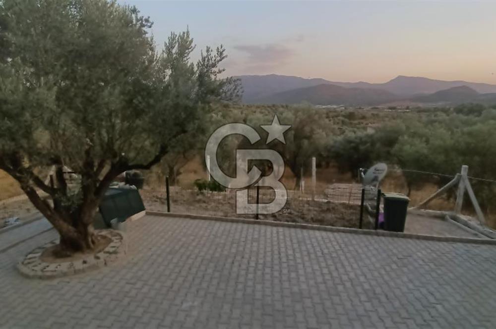 İzmir Bornova Yakaköy Satılık 2+1 Verandalı ev ve Tarla 