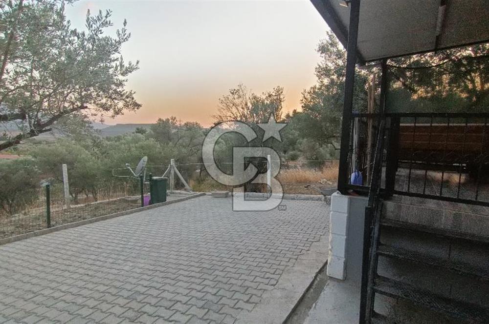 İzmir Bornova Yakaköy Satılık 2+1 Verandalı ev ve Tarla 
