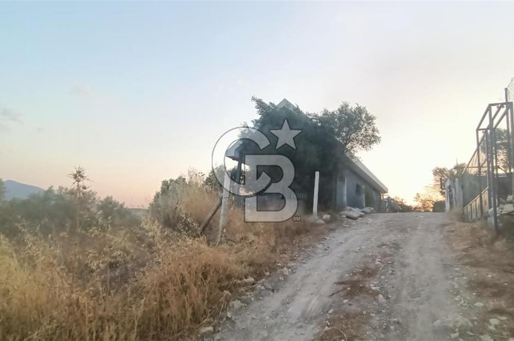 İzmir Bornova Yakaköy Satılık 2+1 Verandalı ev ve Tarla 